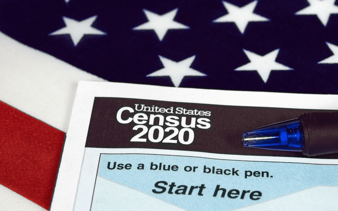 2020 Census Blog Article Image